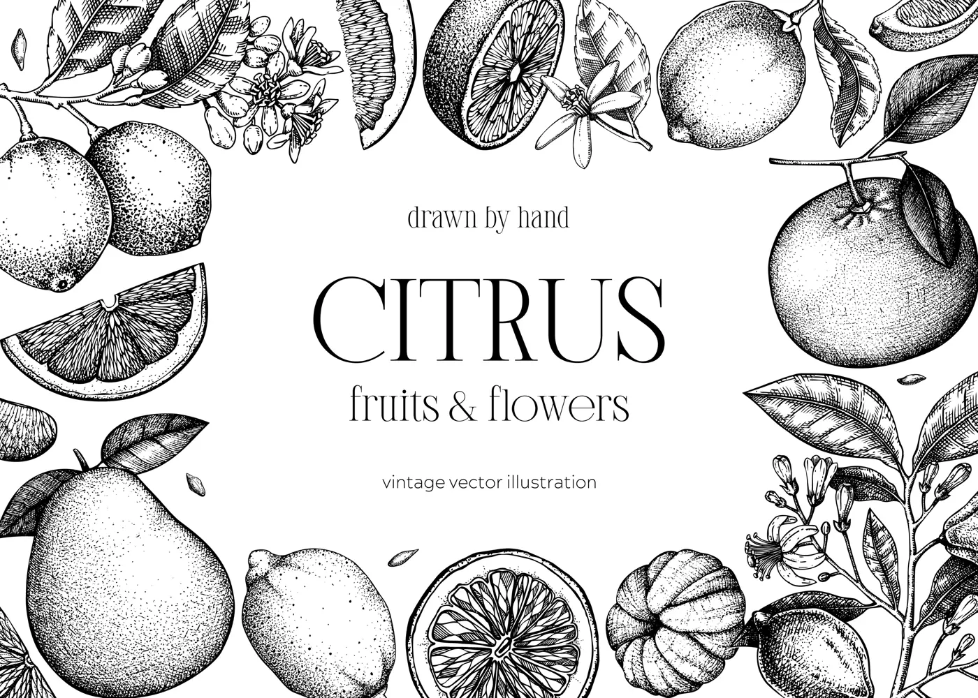 Citrus fruit frame design. Hand drawn vector illustration. Healthy food sketches. Engraved summer background. NOT AI generated Illustration